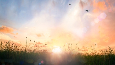 YdHSGcuALghRCAQZrwGR.jpg?w=940&h=940