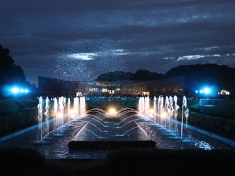 【“幻の花”サガリバナと夜空を彩るバブルミネーション 】神代植物公園「大温室夜間公開」を開催！（７月20日・21日）