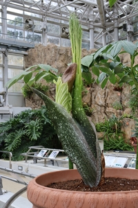 2022年11月29日撮影