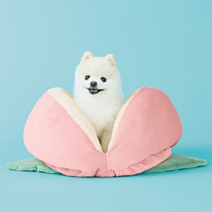 桃太郎もとろけるベッド