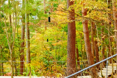 YfU0RovIiFhkD0XoQ5Fa.jpg?w=940&h=940