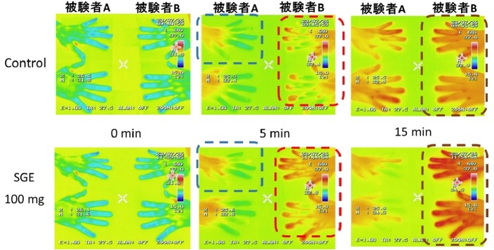 図3.ストロベリーグアバエキス(SGE)単回摂取による低温負荷からの皮膚表面温度の回復促進作用