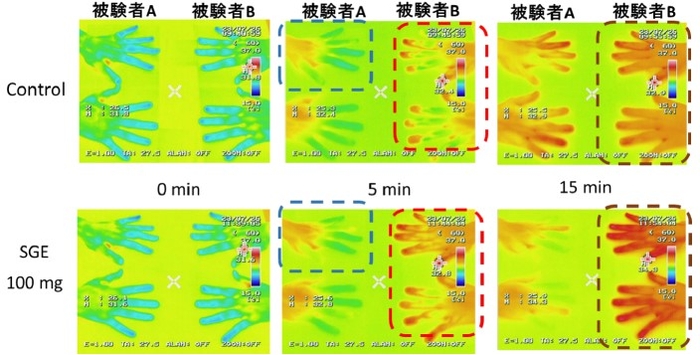 図3.ストロベリーグアバエキス(SGE)単回摂取による低温負荷からの皮膚表面温度の回復促進作用