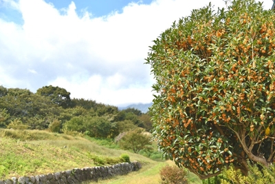 YgiMJJMxUg67xh5p6HSV.jpg?w=940&h=940