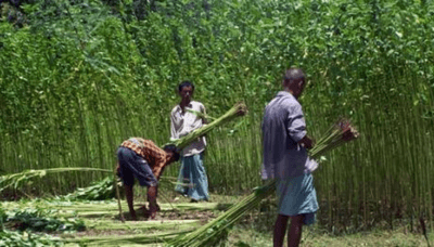 Yhw1p7SXtKP86iVwNZa9.png?w=940&h=940