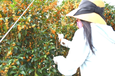 YifGh6DGjHGY049ZQKCI.jpg?w=940&h=940