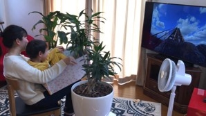 YjLK5OlTBKeEqFE0mfYa.jpg?w=940&h=940