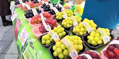 YjPATKeejfjGWutPmgT8.jpg?w=940&h=940