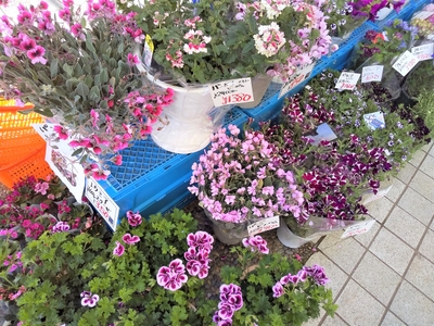 Yk9Y39l0UpmqELbg7Tlu.jpg?w=940&h=940