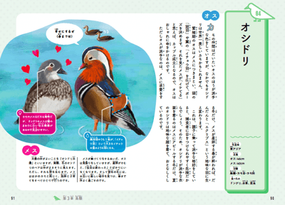 YkF83bl2qaykN87tFiRI.png?w=940&h=940