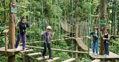 YlLuelkkCYvRH7GW3f3x.png?w=940&h=940