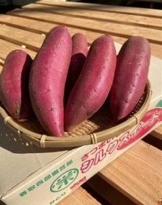 YlRYhG6kV9TS60bh1ofU.jpeg?w=940&h=940