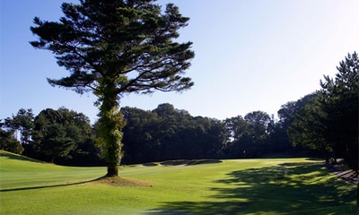 YlwZKq9uKNFsKrgsxsgI.jpg?w=940&h=940