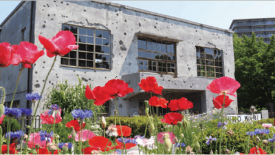 YnCYTxVTlFzBYAjoSDBC.png?w=940&h=940