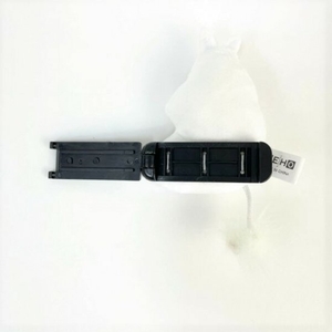 Yo6fp1r54ekJ6rY6iiqI.jpg?w=940&h=940