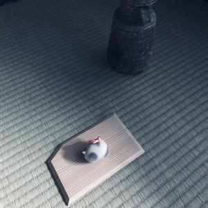 YoklckNi5MEYVJDpVRil.jpg?w=940&h=940