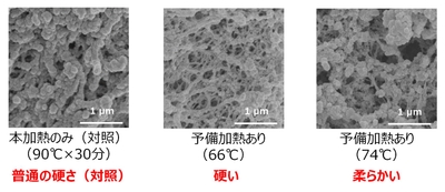 図1：予備加熱の有無と温度による、卵白部の微細構造の違い（顕微鏡写真）