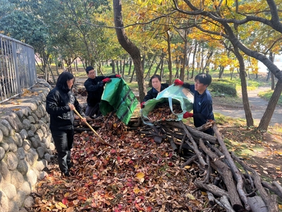 枯れ葉を腐葉土に変えるバイオネスト（2024年11月撮影）