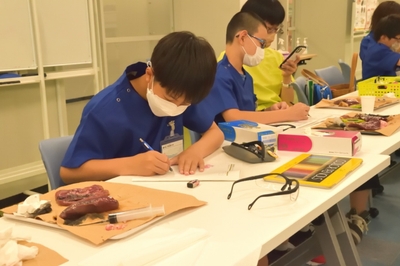 Yr8HTvTX8BgF0kG0KSBR.jpg?w=940&h=940