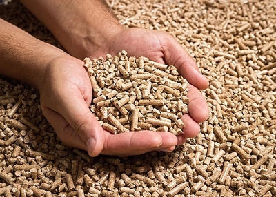 YrKF7bJnk6X9xfJn8q67.jpg?w=940&h=940