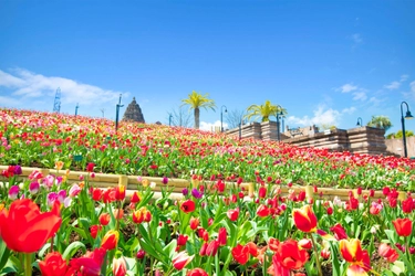 レオマ花ワールドで春を満喫！春のチューリップ祭開催 ～日帰りでも宿泊でも楽しめるレオマリゾートの魅力～ 