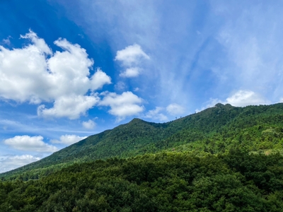 Yt04X2ptV3uoygv4qBPK.jpg?w=940&h=940