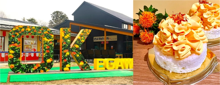 (左)OKモニュメント／(右)べに花ミルクパンケーキサンド