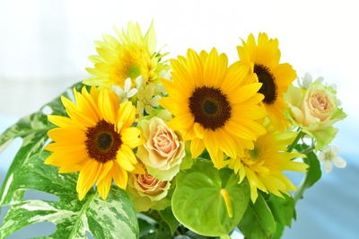 YtVac6FU8nHXqHf5vtyJ.jpg?w=940&h=940