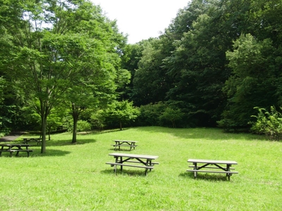 YuhVREN4XIkaiwjjUtFt.jpg?w=940&h=940