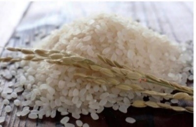 Yuj7fwUSyQDGNHCzZbqr.jpeg?w=940&h=940