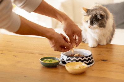 YvGROlGP3BnreRxN6srt.png?w=940&h=940