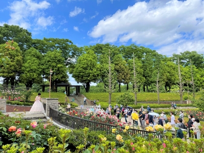 YwnndshZ6lLkCHzznI3p.jpg?w=940&h=940