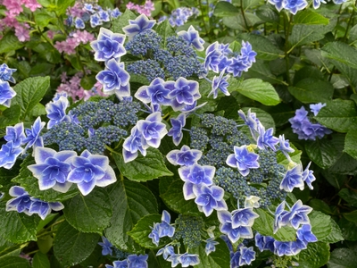 YwxI6W1NaM5T1YDwfjBT.jpg?w=940&h=940