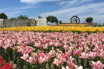 YxoS3N4ReiUyjeywHOZ8.jpg?w=940&h=940