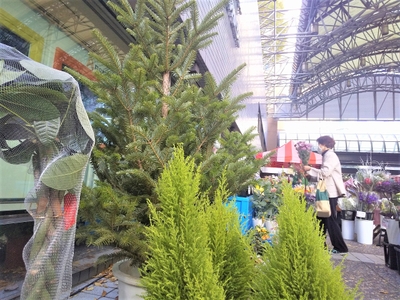 YyU5kfcdgcRhYw9Y8eky.jpg?w=940&h=940