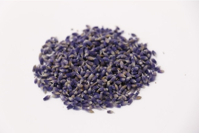 Yyge3uM4fllDaJmWUhiL.jpg?w=940&h=940