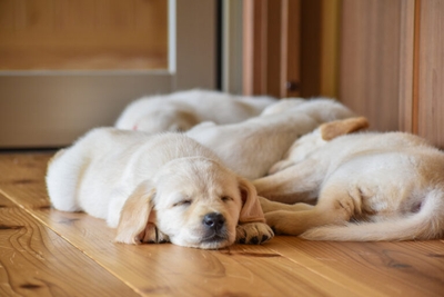 YzsW48Dj6NkoJfezc99B.jpeg?w=940&h=940