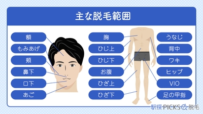 Z0ZWV9vYDX9FrI439Lnn.jpg?w=940&h=940