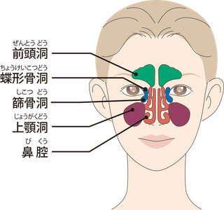 Z0vU1PCQpS2vueLElkel.png?w=940&h=940