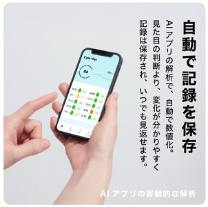 Z1kQhamGTLV0U6Rg8qIj.png?w=940&h=940