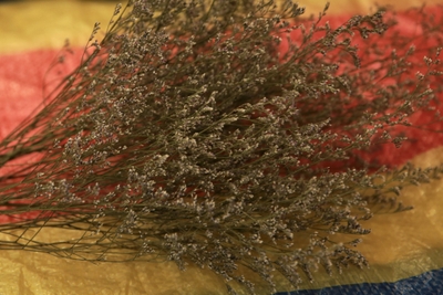 Z1l7XHELErErR6uDrEXg.jpg?w=940&h=940