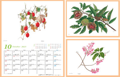 Z1nFfwaD2wdFX0uzFrFY.png?w=940&h=940