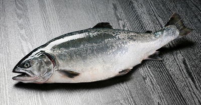 Z1o6jlELrk2x5Nukl52N.jpg?w=940&h=940