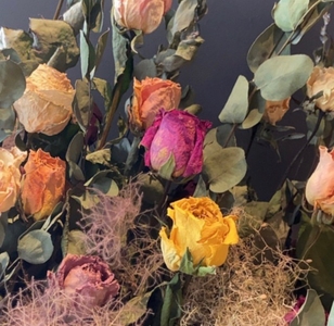 Z2Eo9tSe7d53xKErc9n9.jpeg?w=940&h=940