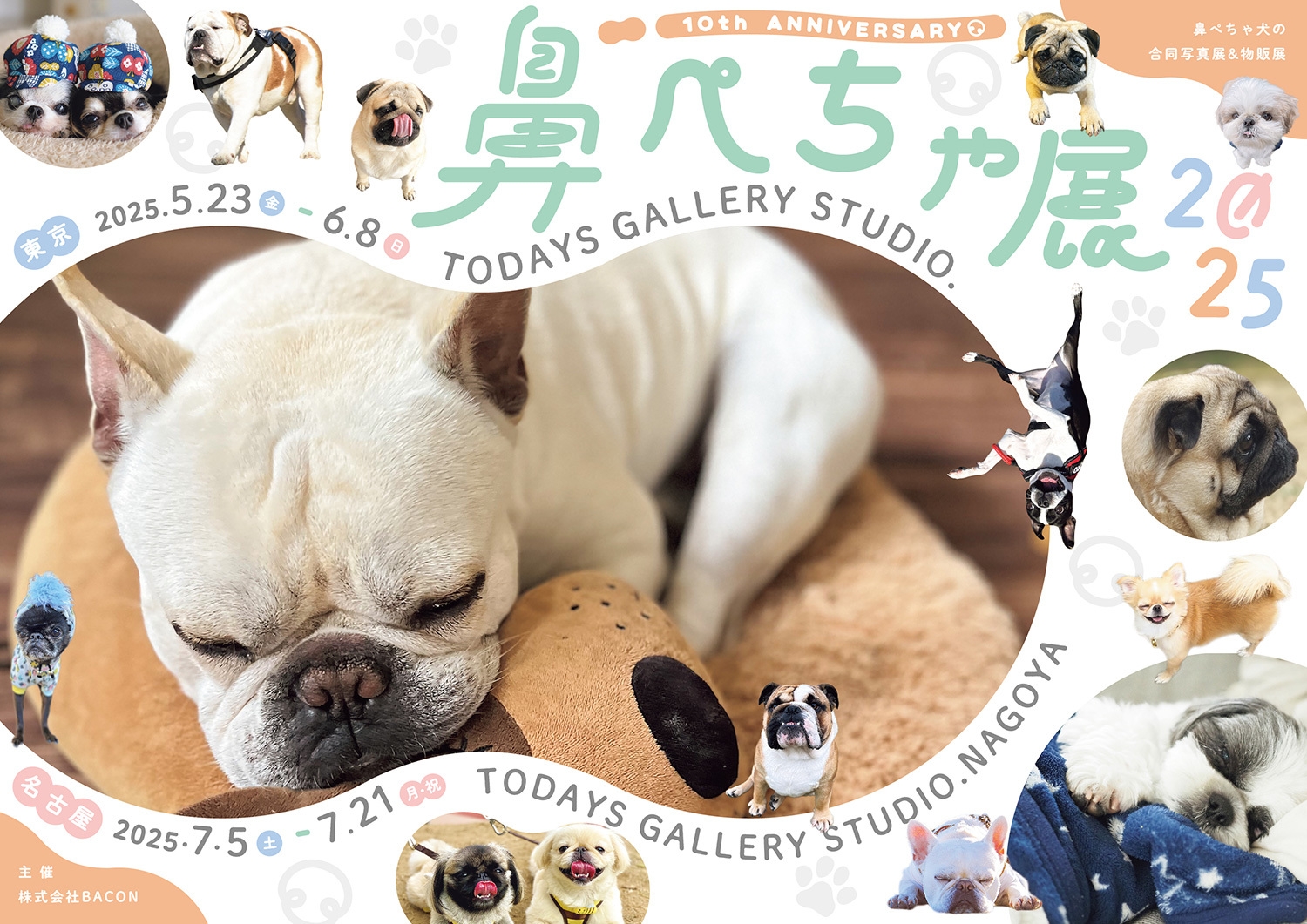 キービジュアル(横)