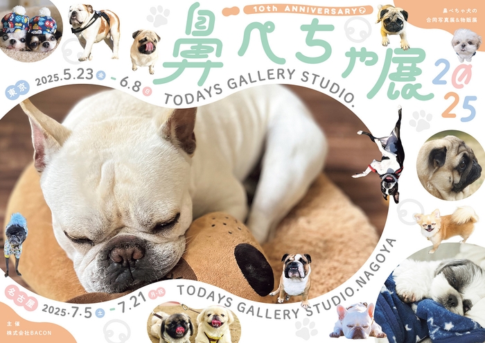 キービジュアル(横)