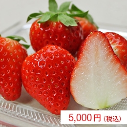 Z2pJzUFU2aI6l8LhGvD4.jpg?w=940&h=940