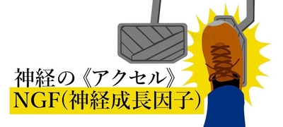 Z3nNeQ3RTryuHwWl22Mr.jpg?w=940&h=940