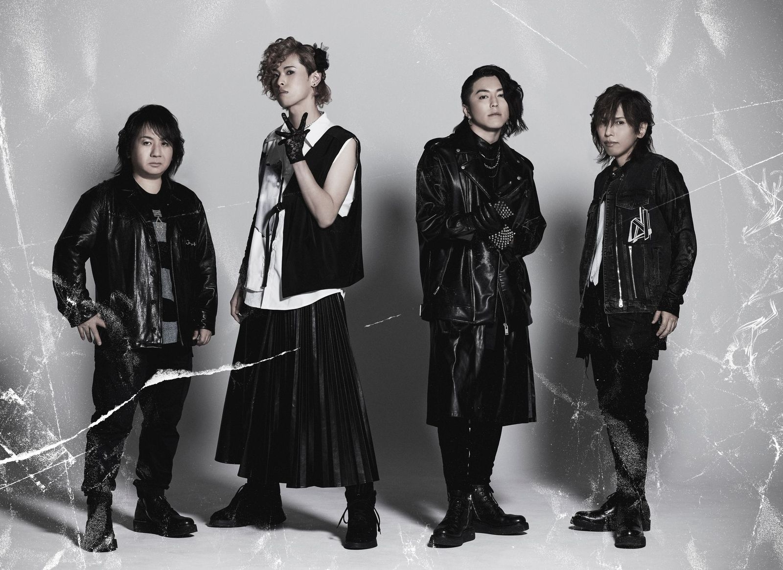 Nicori Light Tours プロフィール