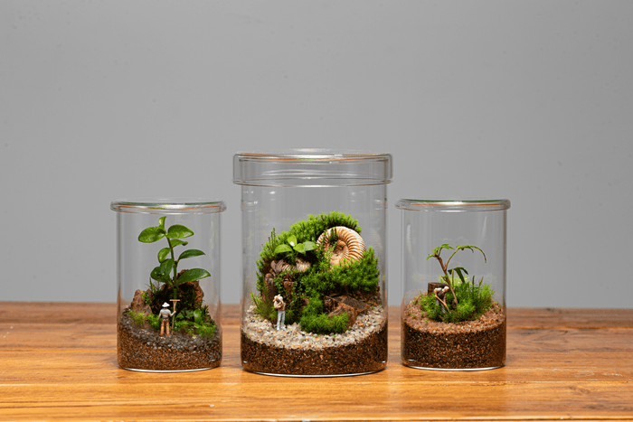 育てるジオラマ講座 by Element Earth